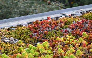 the cost of Weston Ditch green roof installation