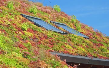 Weston Ditch living roof systems