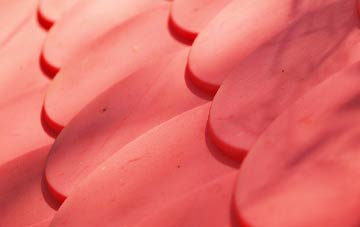 Weston Ditch plastic roof costs