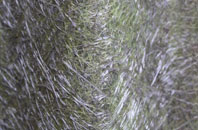 Weston Ditch fibreglass roof work